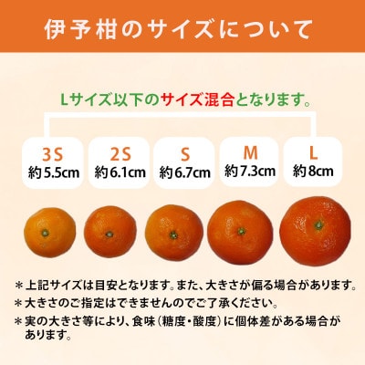 【先行予約】2026年2月上旬から順次発送 宮内伊予柑 家庭用 小玉約5kg 伊予柑規格Lサイズ以下
