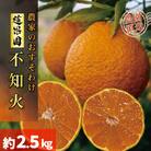 【先行予約】2026年2月下旬～発送 不知火約2.5kg(デコポンと同品種) サイズ混合　農家直送