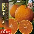 【先行予約】2026年2月下旬～順次発送 不知火約5kg(デコポンと同品種) サイズ混合 農家直送