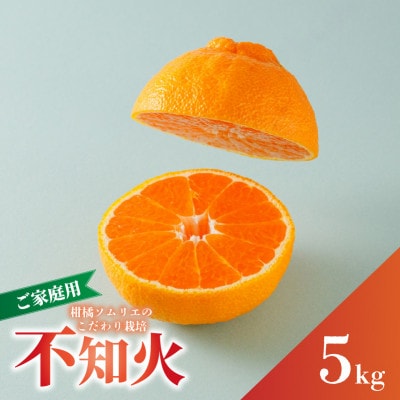 【先行予約】2027年3月上旬より発送 不知火 約5kg (デコポンと同品種) 家庭用 訳あり