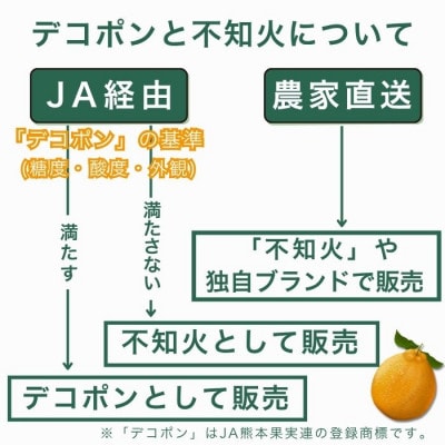 【先行予約】2027年3月上旬より発送 不知火 約5kg (デコポンと同品種) 家庭用 訳あり