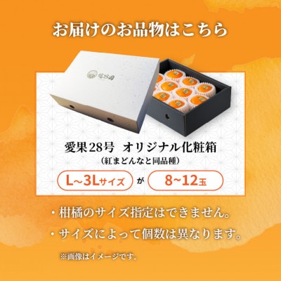 【先行予約】 愛果28号 秀品 8～12玉 白化粧箱 ギフト ご贈答向け 紅まどんな同品種