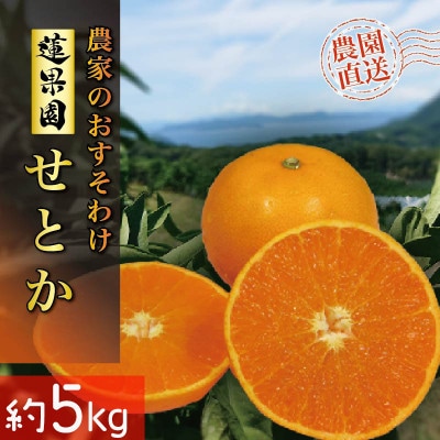 【先行予約】せとか 2月下旬より発送 家庭用5kgサイズ混合 愛媛農家直送 訳あり