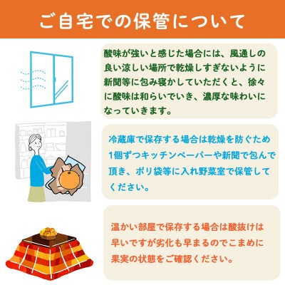 【先行予約】せとか 2月下旬より発送 家庭用5kgサイズ混合 愛媛農家直送 訳あり