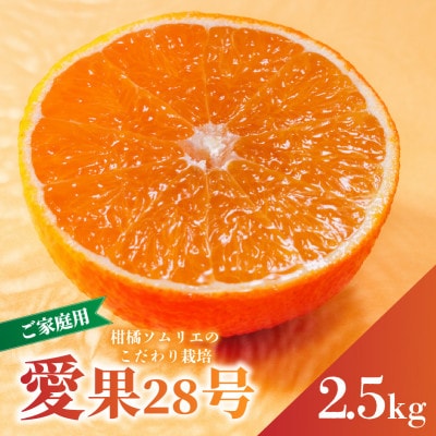 【先行予約】愛果28号 約2.5kg 家庭用 訳あり 紅まどんな同品種