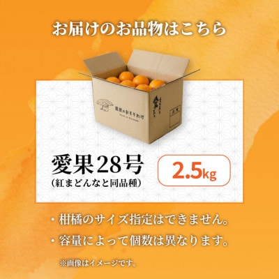 【先行予約】愛果28号 約2.5kg 家庭用 訳あり 紅まどんな同品種