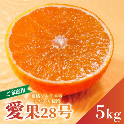 【先行予約】12月上旬より順次発送 愛果28号 約5kg 家庭用 訳あり 紅まどんな同品種