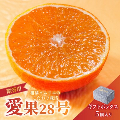 【先行予約】11月下旬より発送 愛果28号 L～2L 美品5玉入り ギフトボックス 紅まどんな同品種