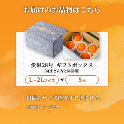 【先行予約】11月下旬より発送 愛果28号 L～2L 美品5玉入り ギフトボックス 紅まどんな同品種