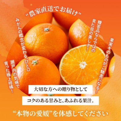 【先行予約】11月下旬より発送 愛果28号 L～2L 美品5玉入り ギフトボックス 紅まどんな同品種
