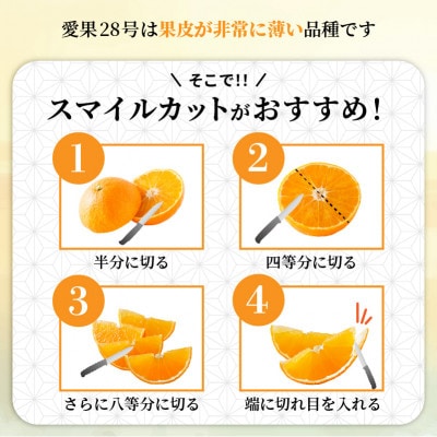 【先行予約】11月下旬より発送 愛果28号 L～2L 美品5玉入り ギフトボックス 紅まどんな同品種