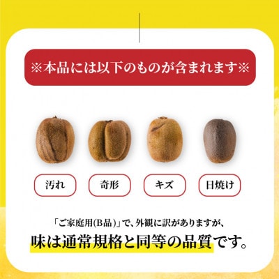【先行予約】2026年10月下旬より発送 キウイフルーツ ヘイワード約2.5kg 家庭用 訳あり