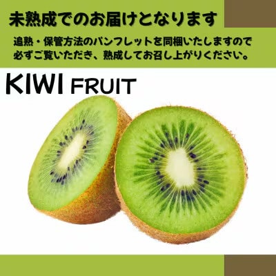 【先行予約】2026年10月下旬より発送 キウイフルーツ ヘイワード約2.5kg 家庭用 訳あり