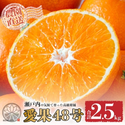 【先行予約】 愛果48号 3月上旬より順次発送 家庭用 約2.5kg B品　紅プリンセス同品種