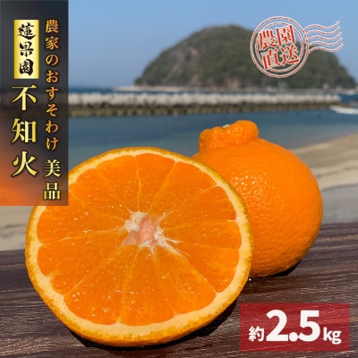 【先行予約】 不知火(デコポンと同一品種) 3月上旬より順次発送 美品 約 2.5kg