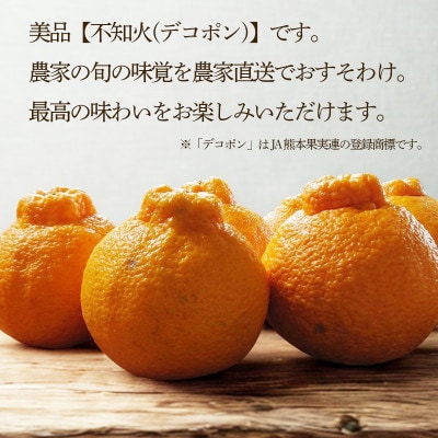 【先行予約】 不知火(デコポンと同一品種) 3月上旬より順次発送 美品 約 2.5kg