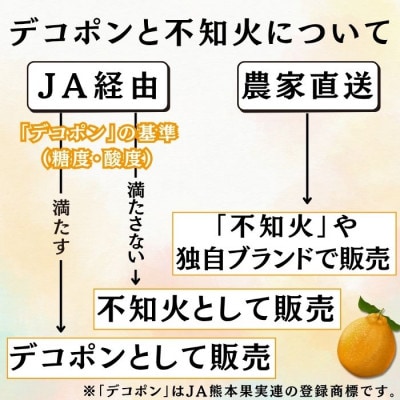 【先行予約】 不知火(デコポンと同一品種) 3月上旬より順次発送 美品 約 2.5kg