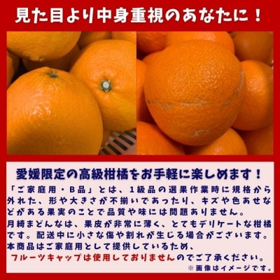 愛果28号 家庭用 お試し1kg(4～6個) サイズ混合 紅まどんな 同品種