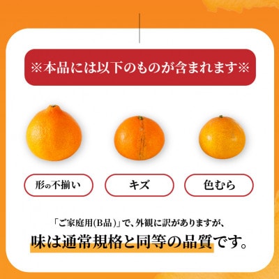 【先行予約】12月上旬より発送 愛果28号 家庭用 訳あり お試し1kg 紅まどんな同品種
