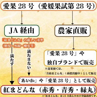 愛果28号 家庭用 お試し1kg(4～6個) サイズ混合 紅まどんな 同品種