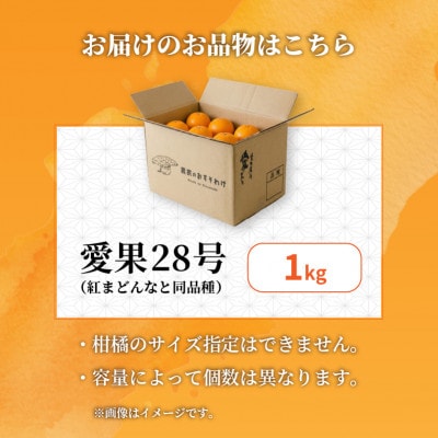 【先行予約】12月上旬より発送 愛果28号 家庭用 訳あり お試し1kg 紅まどんな同品種