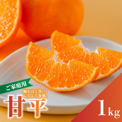 【先行予約】2027年1月下旬より発送 甘平 約1kg 4～5玉目安 家庭用 訳あり サイズ混合