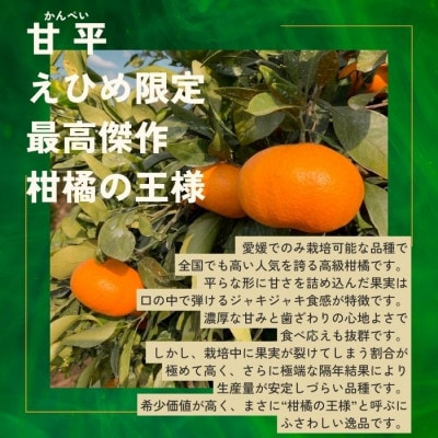 【先行予約】2027年1月下旬より発送 甘平 約1kg 4～5玉目安 家庭用 訳あり サイズ混合