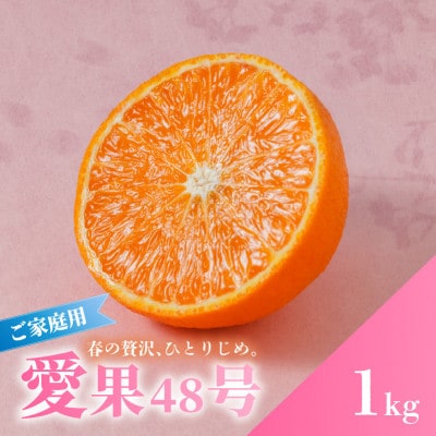 【先行予約】 愛果48号 3月上旬より順次発送 家庭用 約1kg 4～5玉目安 紅プリンセス同品種