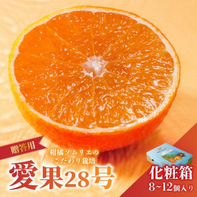 【先行予約】 愛果28号 秀品 8～12玉 青化粧箱 ギフト ご贈答向け 紅まどんな同品種