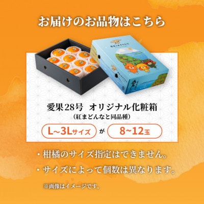 【先行予約】 愛果28号 秀品 8～12玉 青化粧箱 ギフト ご贈答向け 紅まどんな同品種