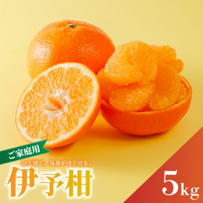 【先行予約】2027年1月下旬より発送 宮内伊予柑 サイズ混合 約5kg 家庭用 訳あり