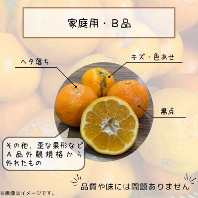 【先行予約】2027年1月下旬より発送 宮内伊予柑 サイズ混合 約5kg 家庭用 訳あり