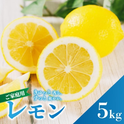 【先行予約】2027年2月上旬より発送 イエローレモン 約5kg 家庭用 防腐剤、ワックス不使用