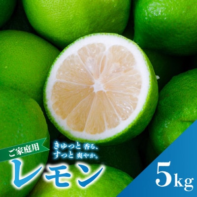 2026年9月下旬より順次発送 グリーンレモン 約5kg 家庭用 訳あり 防腐剤、ワックス不使用