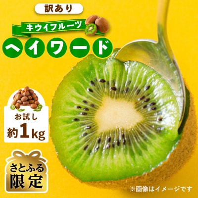 【さとふる限定】2026年10月下旬より発送予定　訳あり キウイフルーツ ヘイワード約1kg 家庭用