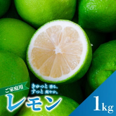 2026年9月下旬より順次発送 グリーンレモン 約1kg 家庭用 訳あり 防腐剤、ワックス不使用