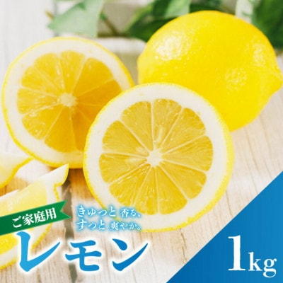 【先行予約】2027年2月上旬より発送 イエローレモン 約1kg 家庭用 防腐剤、ワックス不使用