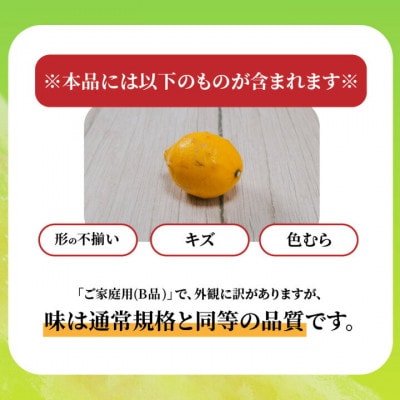 【先行予約】2027年2月上旬より発送 イエローレモン 約1kg 家庭用 防腐剤、ワックス不使用