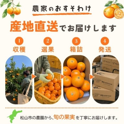 【先行予約】2027年2月上旬より発送 イエローレモン 約1kg 家庭用 防腐剤、ワックス不使用