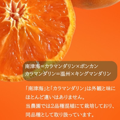 【先行予約】2027年4月中旬より発送 南津海・カラマンダリン約1kg 家庭用 訳あり