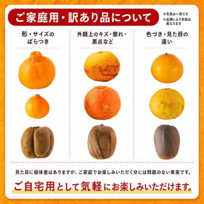 【先行予約】2027年4月中旬より発送 南津海・カラマンダリン約1kg 家庭用 訳あり