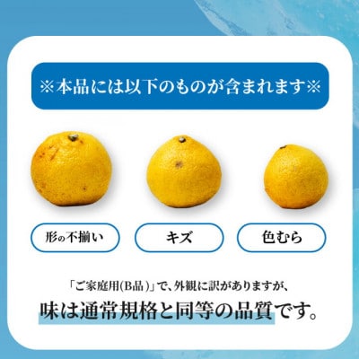 【先行予約】2027年2月中旬より発送 はるか  サイズ混合約10kg 家庭用 訳あり みかん