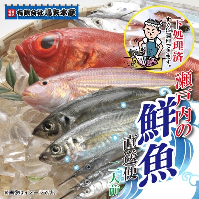 【嶋矢水産】 産地直送瀬戸内の鮮魚(下処理済み):二人前