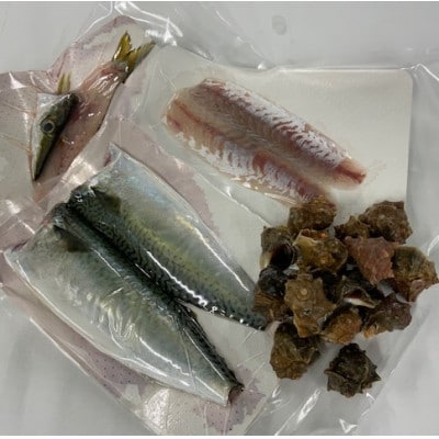 【嶋矢水産】 産地直送瀬戸内の鮮魚(下処理済み):二人前