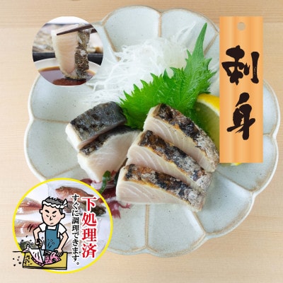 【嶋矢水産】 産地直送瀬戸内の鮮魚(下処理済み):二人前
