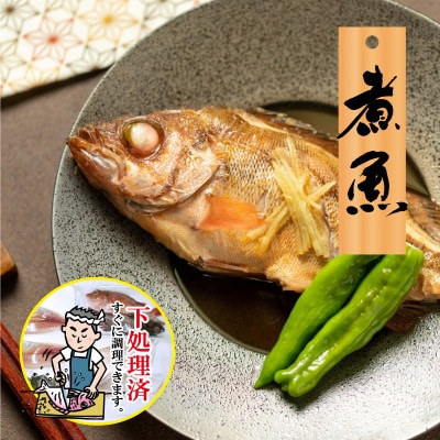【嶋矢水産】 産地直送瀬戸内の鮮魚(下処理済み):二人前