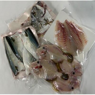 【嶋矢水産】 産地直送瀬戸内の鮮魚(下処理済み):四人前