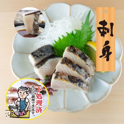 【嶋矢水産】 産地直送瀬戸内の鮮魚(下処理済み):四人前