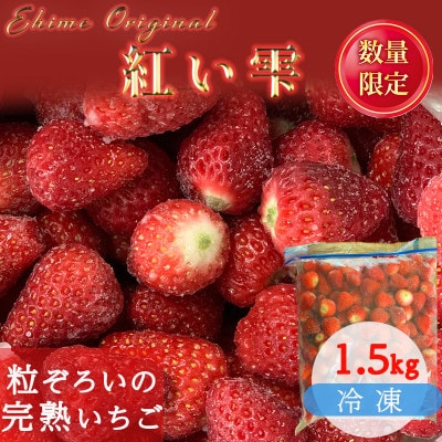 愛媛県オリジナル品種 紅い雫 中粒　冷凍イチゴ 1.5kg