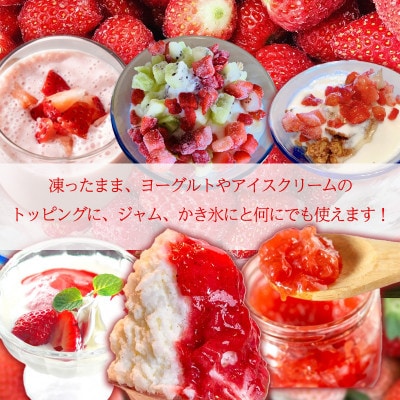 愛媛県オリジナル品種 紅い雫 中粒　冷凍イチゴ 1.5kg